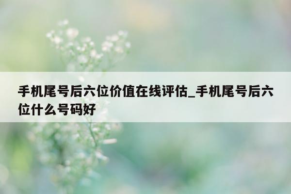 手机尾号后六位价值在线评估_手机尾号后六位什么号码好 - 第 1 张图片 - 小家生活风水网