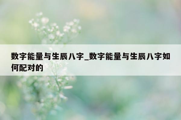 数字能量与生辰八字_数字能量与生辰八字如何配对的 - 第 1 张图片 - 小家生活风水网