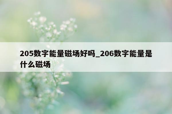 205 数字能量磁场好吗_206 数字能量是什么磁场 - 第 1 张图片 - 小家生活风水网