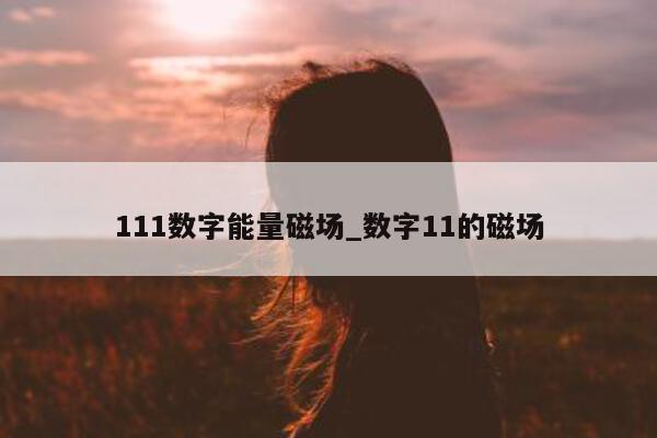 111 数字能量磁场_数字 11 的磁场 - 第 1 张图片 - 小家生活风水网