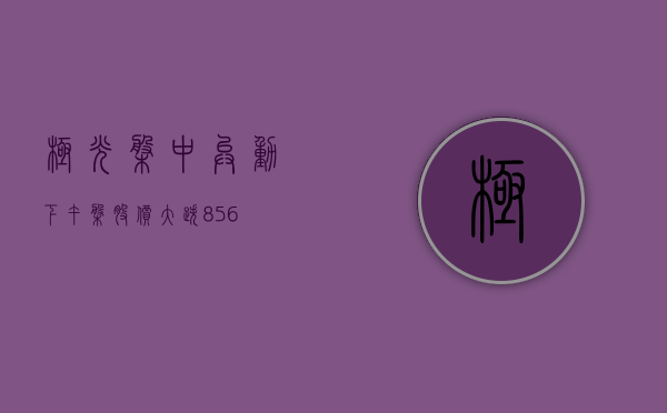 极光盘中异动 下午盘股价大跌 8.56%- 第 1 张图片 - 小家生活风水网