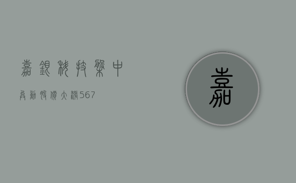 嘉银科技盘中异动 股价大涨 5.67%- 第 1 张图片 - 小家生活风水网