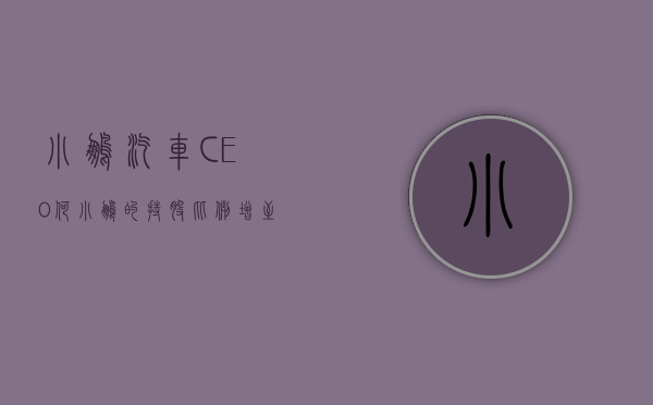 小鹏汽车：CEO 何小鹏的持股比例增至约 18.8%- 第 1 张图片 - 小家生活风水网