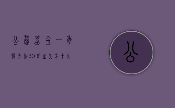 公募基金一季报亮相	，30 只产品前十大重仓股出炉，多只基金仍保持较高仓位 - 第 1 张图片 - 小家生活风水网