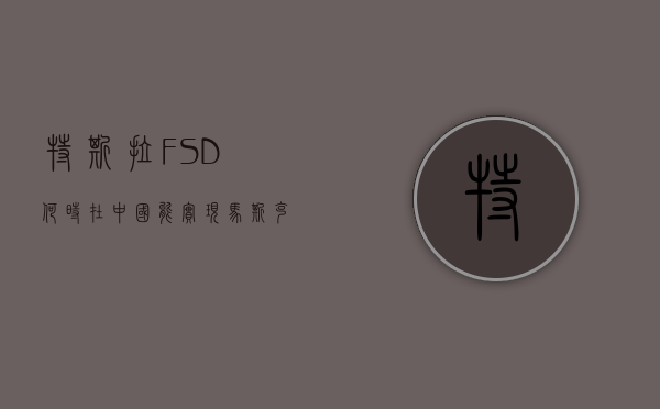 特斯拉 FSD 何时在中国能实现？马斯克回复：可能会很快 - 第 1 张图片 - 小家生活风水网