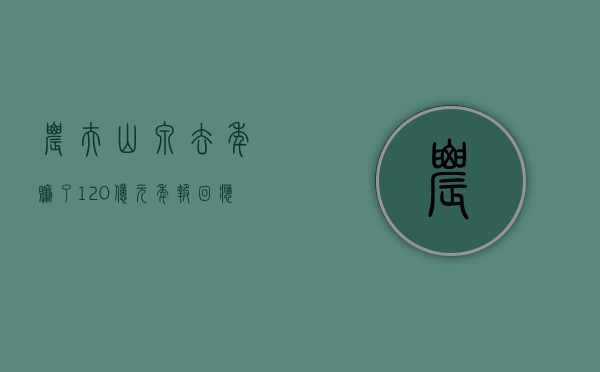 农夫山泉去年赚了 120 亿元，年报回应近期舆论影响 - 第 1 张图片 - 小家生活风水网