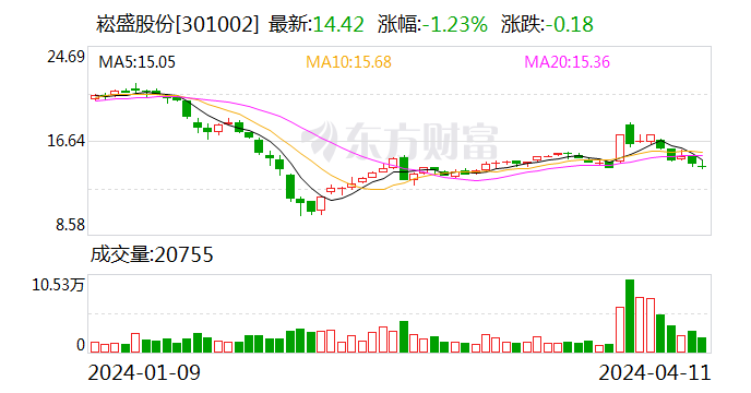 崧盛股份发布未来发展战略及 2024 年经营计划 - 第 1 张图片 - 小家生活风水网