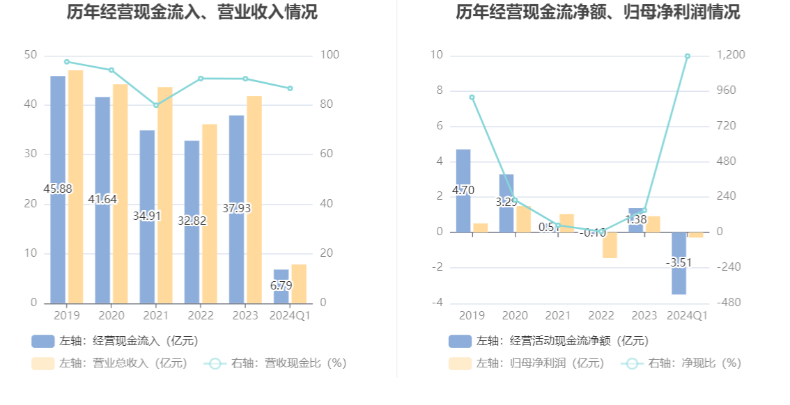 海南发展：2024 年第一季度亏损 2931.27 万元 - 第 6 张图片 - 小家生活风水网