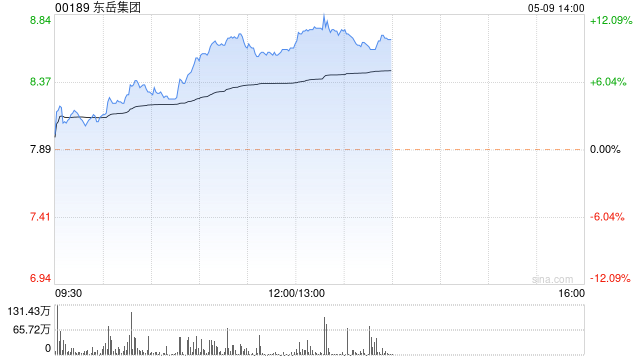 东岳集团早盘持续上涨超 9% 本月内累计涨超 24%- 第 1 张图片 - 小家生活风水网