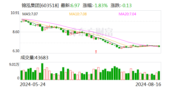 锦泓集团：2024 年半年度净利润同比增长 3.08%- 第 1 张图片 - 小家生活风水网