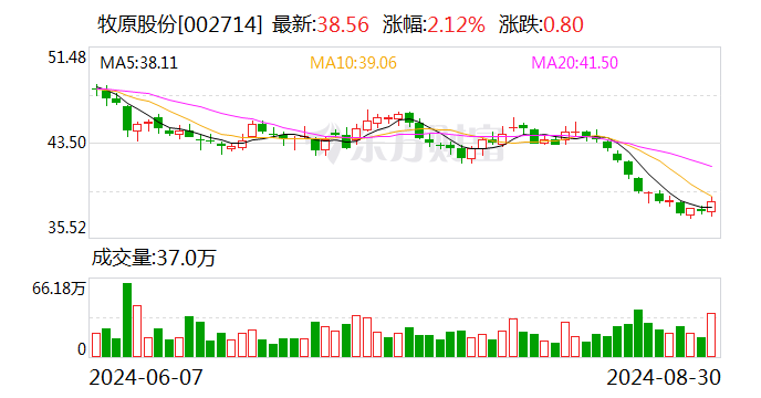 生猪养殖业大面积扭亏 多家龙头企业净利润增幅超 100%- 第 1 张图片 - 小家生活风水网