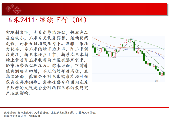 中天期货: 原油反弹出现 棕榈继续拉高 - 第 7 张图片 - 小家生活风水网